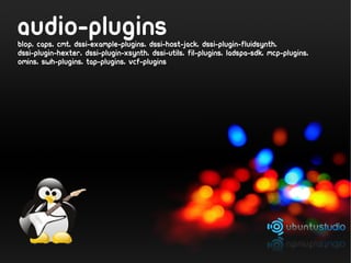 audio-plugins
blop, caps, cmt, dssi-example-plugins, dssi-host-jack, dssi-plugin-fluidsynth,
dssi-plugin-hexter, dssi-plugin-xsynth, dssi-utils, fil-plugins, ladspa-sdk, mcp-plugins,
omins, swh-plugins, tap-plugins, vcf-plugins
 