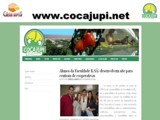www.cocajupi.net 