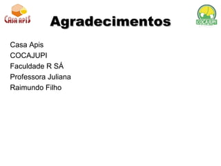 Agradecimentos Casa Apis COCAJUPI Faculdade R SÁ Professora Juliana Raimundo Filho 