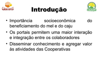 Introdução Importância socioeconômica do beneficiamento do mel e do caju Os portais permitem uma maior interação e integração entre os colaboradores Disseminar conhecimento e agregar valor às atividades das Cooperativas 