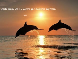 Sara, gosto muito de ti e espero que melhores depressa. Inês   