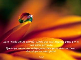 Sara, minha amiga querida, espero que essa desgraça passe por ti sem dares por nada. Quero que metas essa cabeça para cima que a vida continua.  Eu sei que tu serás forte! Isabel 