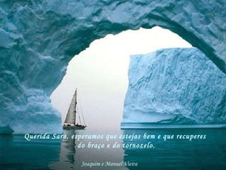 Querida Sara, esperamos que estejas bem e que recuperes do braço e do tornozelo. Joaquim e Manuel Vieira   
