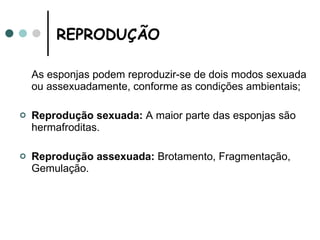 REPRODUÇÃO  As esponjas podem reproduzir-se de dois modos sexuada ou assexuadamente, conforme as condições ambientais; Reprodução sexuada:  A maior parte das esponjas são hermafroditas. Reprodução assexuada:  Brotamento, Fragmentação, Gemulação. 
