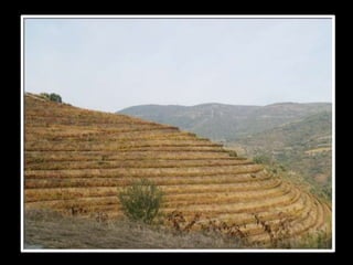 Repérage Aldeias Vinhateiras