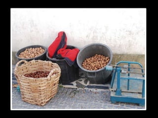 Repérage Aldeias Vinhateiras