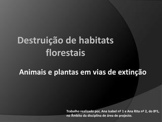 Destruição de habitats florestais Animais e plantas em vias de extinção Trabalho realizado por, Ana Isabel nº 1 e Ana Rita nº 2, do 8º1, 				no Âmbito da disciplina de área de projecto. 