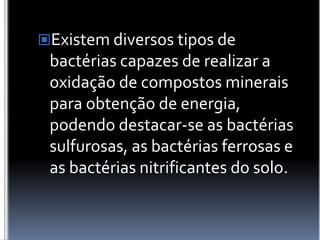 Existem diversos tipos de bactérias capazes de realizar a oxidação de compostos minerais para obtenção de energia, podendo destacar-se as bactérias sulfurosas, as bactérias ferrosas e as bactérias nitrificantes do solo.