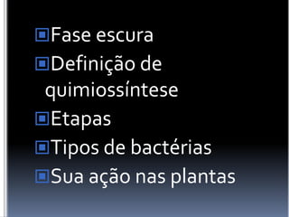 Fase escuraDefinição de quimiossínteseEtapasTipos de bactériasSua ação nas plantas
