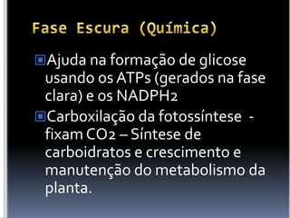 Fase Escura (Química)Ajuda na formação de glicose usando os ATPs(gerados na fase clara) e os NADPH2Carboxilação da fotossíntese  - fixam CO2 – Síntese de carboidratos e crescimento e manutenção do metabolismo da planta.