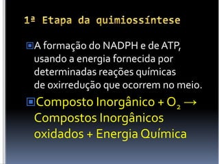 1ª Etapa da quimiossínteseA formação do NADPH e de ATP, usando a energia fornecida por determinadas reações químicas de oxirredução que ocorrem no meio.Composto Inorgânico + O2 -> Compostos Inorgânicos oxidados + Energia Química