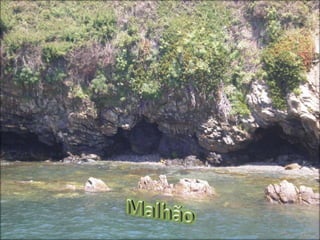 Malhão