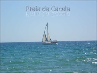 Praia da Cacela
