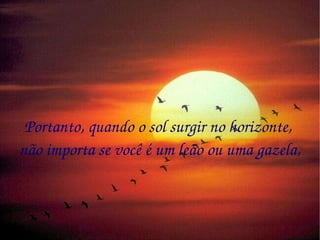 Portanto, quando o sol surgir no horizonte,  não importa se você é um leão ou uma gazela, 