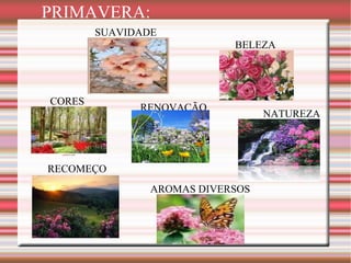 AROMAS DIVERSOS SUAVIDADE BELEZA CORES NATUREZA RENOVAÇÃO RECOMEÇO CHEIRO BOM PRIMAVERA: