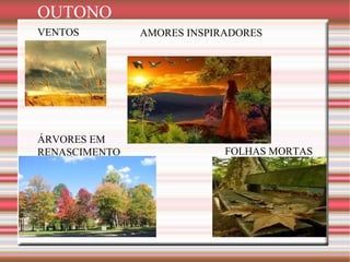 VENTOS FOLHAS MORTAS ÁRVORES EM RENASCIMENTO AMORES INSPIRADORES OUTONO