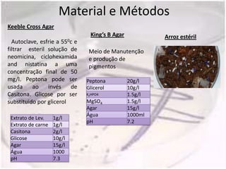 Material e Métodos
Keeble Cross Agar
                                King’s B Agar            Arroz estéril
  Autoclave, esfrie a  550c
                          e
filtrar esteril solução de     Meio de Manutenção
neomicina, ciclohexamida       e produção de
and nistatina a uma            pigmentos
concentração final de 50
mg/l. Peptona pode ser        Peptona           20g/l
usada     ao    invés    de   Glicerol          10g/l
Casitona. Glicose por ser     K2HPO4            1.5g/l
substituido por glicerol      MgSO4             1.5g/l
                              Agar              15g/l
                              Água              1000ml
 Extrato de Lev.    1g/l
                              pH                7.2
 Extrato de carne   1g/l
 Casitona           2g/l
 Glicose            10g/l
 Agar               15g/l
 Água               1000
 pH                 7.3
 