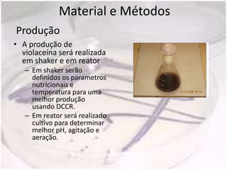 Material e Métodos
Produção
• A produção de
  violaceína será realizada
  em shaker e em reator
   – Em shaker serão
     definidos os parametros
     nutricionais e
     temperatura para uma
     melhor produção
     usando DCCR.
   – Em reator será realizado
     cultivo para determinar
     melhor pH, agitação e
     aeração.
 
