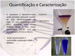 Quantificação e Caracterização
• A violaceína e deoxyviolaceina       Violaceína
  serão extraídas utilizando Acetato
  de Etila (Amotra:Acetato de
                                       Fase Aquosa
  Etila, 1:1 v/v), quantificadas por
  HPLC, utilizando uma coluna
  ZORBAX SB-Aq e fase móvel
  MeOH:Água (70:30 v/v) via
  absorbância a 577nm e 555nm.

•    Serão caracterizadas e
    confirmadas utilizando H NMR a
    500MHz.
 