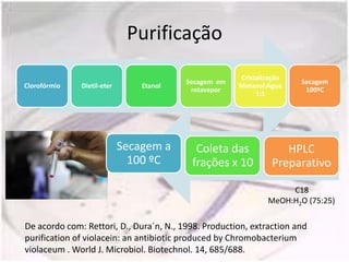 Purificação
                                                      Cristalização
                                         Secagem em                   Secagem
Clorofórmio   Dietil-eter       Etanol                Metanol:Água
                                          rotavapor                    100ºC
                                                           1:1




                            Secagem a      Coleta das              HPLC
                              100 ºC      frações x 10          Preparativo

                                                                   C18
                                                              MeOH:H2O (75:25)

De acordo com: Rettori, D., Dura´n, N., 1998. Production, extraction and
purification of violacein: an antibiotic produced by Chromobacterium
violaceum . World J. Microbiol. Biotechnol. 14, 685/688.
 