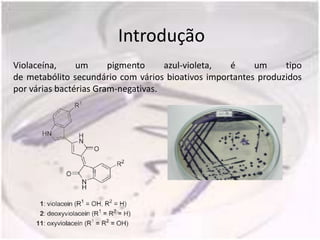 Introdução
Violaceína,     um      pigmento     azul-violeta, é     um     tipo
de metabólito secundário com vários bioativos importantes produzidos
por várias bactérias Gram-negativas.
 