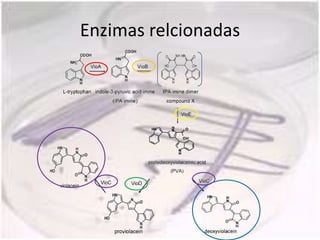 Enzimas relcionadas
 