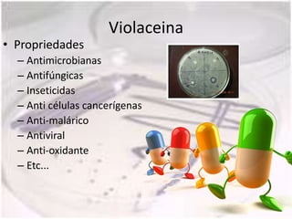 Violaceina
• Propriedades
  – Antimicrobianas
  – Antifúngicas
  – Inseticidas
  – Anti células cancerígenas
  – Anti-malárico
  – Antiviral
  – Anti-oxidante
  – Etc...
 
