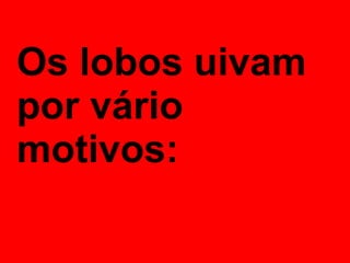 Os lobos uivam por vário motivos: 