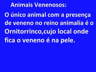 Animais Venenosos: O único animal com a presença de veneno no reino animalia é o  Ornitorrinco,cujo local onde fica o veneno é na pele. 
