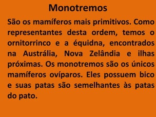   Monotremos São os mamíferos mais primitivos. Como representantes desta ordem, temos o ornitorrinco e a équidna, encontrados na Austrália, Nova Zelândia e ilhas próximas. Os monotremos são os únicos mamíferos ovíparos. Eles possuem bico e suas patas são semelhantes às patas do pato.  