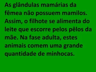 As glândulas mamárias da fêmea não possuem mamilos. Assim, o filhote se alimenta do leite que escorre pelos pêlos da mãe. Na fase adulta, estes animais comem uma grande quantidade de minhocas.  