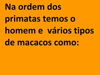 Na ordem dos primatas temos o homem e  vários tipos de macacos como: 