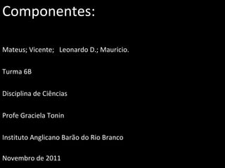 Componentes: Mateus; Vicente;  Leonardo D.; Mauricio. Turma 6B  Disciplina de Ciências  Profe Graciela Tonin Instituto Anglicano Barão do Rio Branco Novembro de 2011   