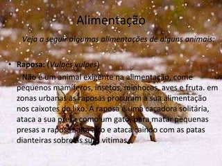 Alimentação Veja a seguir algumas alimentações de alguns animais: Raposa:  ( Vulpes vulpes ) Não é um animal exigente na alimentação, come pequenos mamíferos, insetos, minhocas, aves e fruta. em zonas urbanas as raposas procuram a sua alimentação nos caixotes do lixo. A raposa é uma caçadora solitária, ataca a sua presa como um gato, para matar pequenas presas a raposa salta alto e ataca caindo com as patas dianteiras sobre as suas vitimas. 