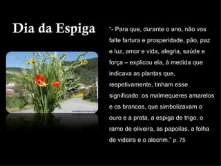 Dia da Espiga   “- Para que, durante o ano, não vos
                falte fartura e prosperidade, pão, paz
                e luz, amor e vida, alegria, saúde e
                força – explicou ela, à medida que
                indicava as plantas que,
                respetivamente, tinham esse
                significado: os malmequeres amarelos
                e os brancos, que simbolizavam o
                ouro e a prata, a espiga de trigo, o
                ramo de oliveira, as papoilas, a folha
                de videira e o alecrim.” p. 75
 
