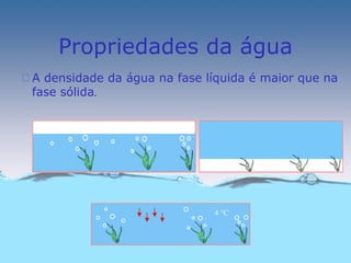 Propriedades da água
Œ A densidade da água na fase líquida é maior que na
  fase sólida.


          gelo



                              gelo




                                4 °C
 