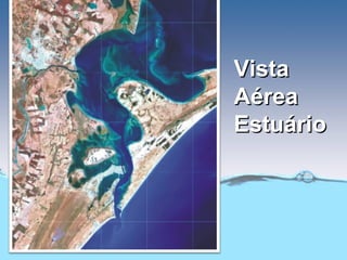 Vista
Aérea
Estuário
 
