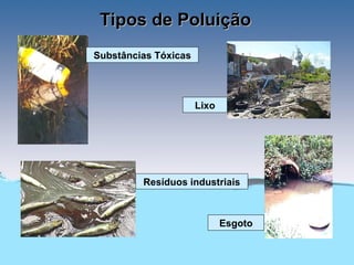 Tipos de Poluição
Substâncias Tóxicas




                      Lixo




         Resíduos industriais



                             Esgoto
 