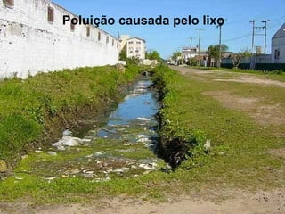 Poluição causada pelo lixo
 