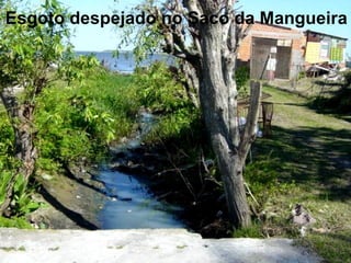 Esgoto despejado no Saco da Mangueira
 