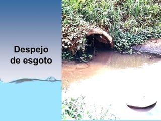 Despejo
de esgoto
 
