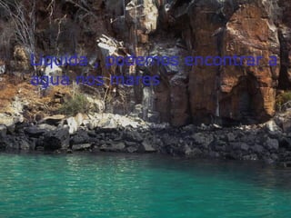 Liquida , podemos encontrar a
agua nos mares
 