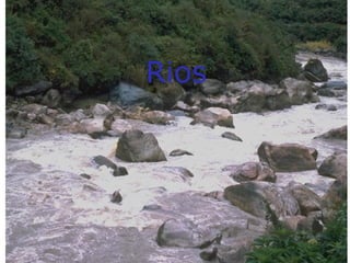 Rios
 
