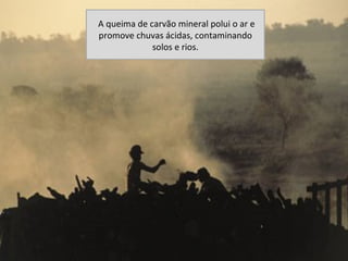 A queima de carvão mineral polui o ar e
promove chuvas ácidas, contaminando
             solos e rios.
 