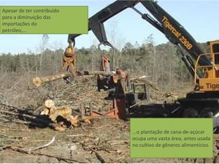 Apesar de ter contribuído
para a diminuição das
importações do
petróleo,...




                            ...o plantação de cana-de-açúcar
                            ocupa uma vasta área, antes usada
                            no cultivo de gêneros alimentícios.
 