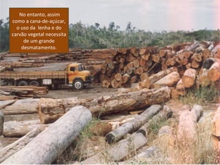 No entanto, assim
como a cana-de-açúcar,
  o uso da lenha e do
carvão vegetal necessita
     de um grande
    desmatamento.
 