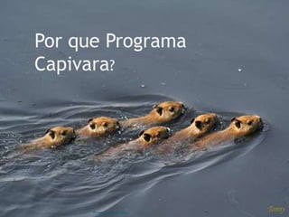 Por que Programa
Capivara?




      Programa Capivara
 