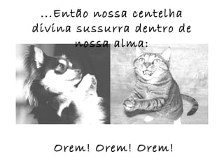 ...Então nossa centelha
divina sussurra dentro de
       nossa alma:




   Orem! Orem! Orem!
 