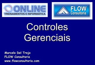 Controles Gerenciais Marcelo Del Trejo FLOW Consultoria www.flowconsultoria.com 
