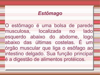 Estômago O estômago é uma bolsa de parede musculosa, localizada no lado esquerdo abaixo do abdome, logo abaixo das últimas costelas. É um órgão muscular que liga o esôfago ao intestino delgado. Sua função principal é a digestão de alimentos protéicos.  